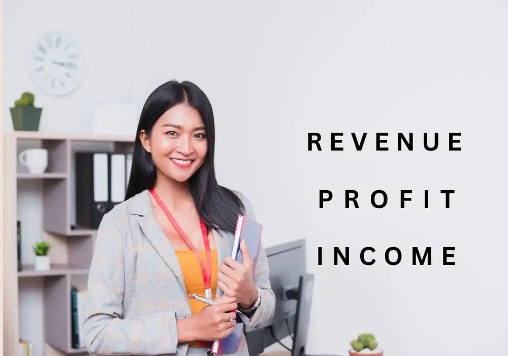 revenue vs profit vs income-min