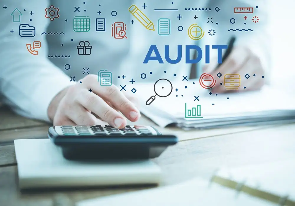 Types of Auditing
